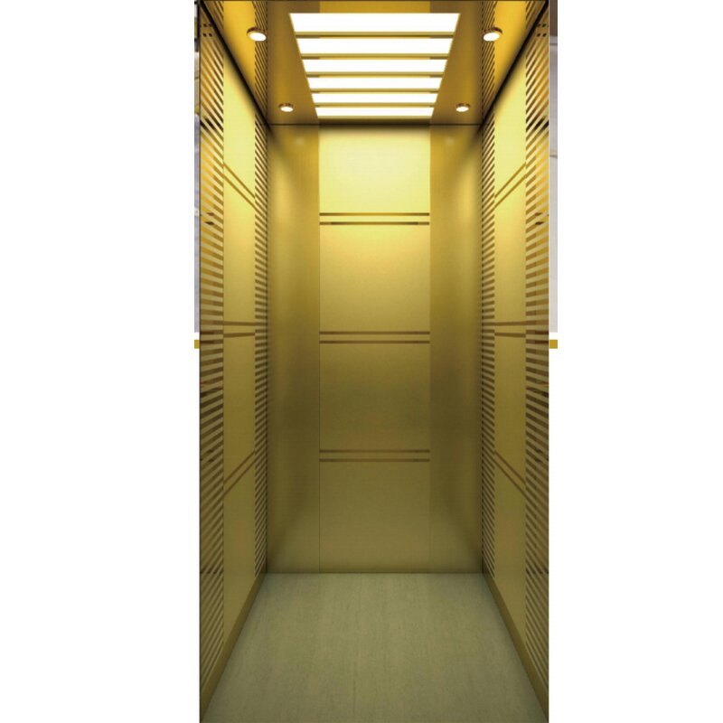 Home Elevator Manufacturer - OEM/ODM Hydraulic Residential for Disabled People