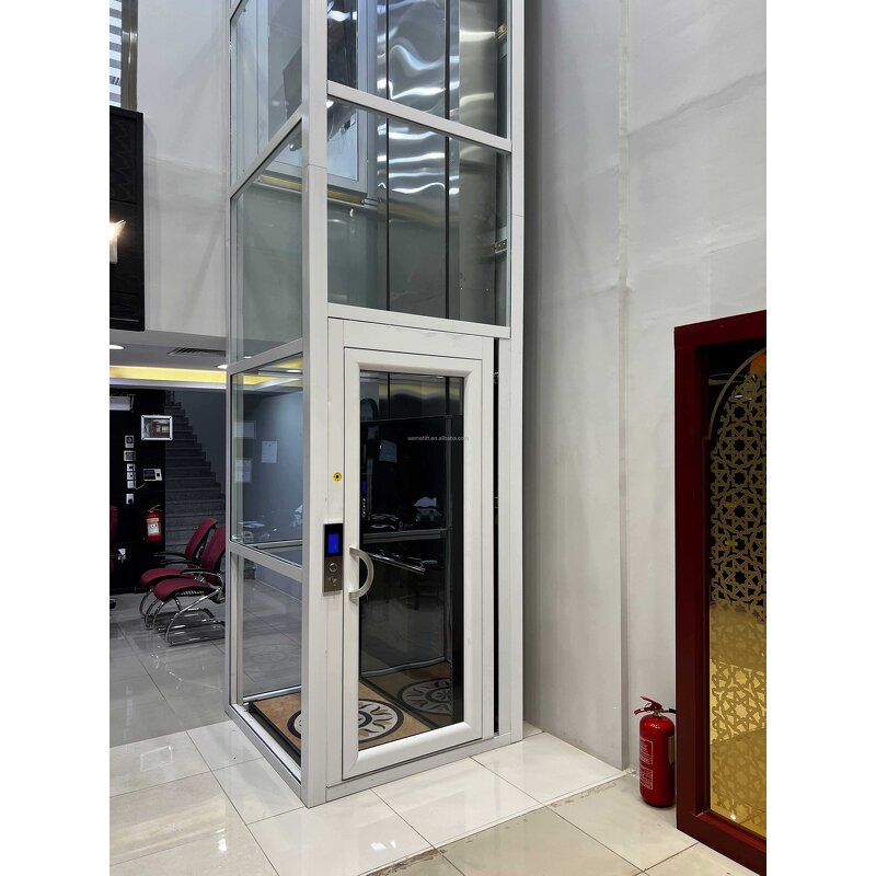 Residential Elevator Manufacturer - OEM/ODM CE ISO 320-450KG Modern Glass Lift