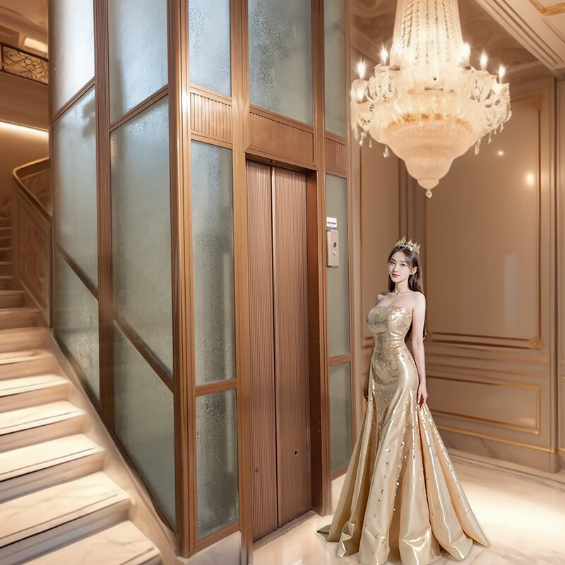 Home Elevator Manufacturer - OEM/ODM CE ISO 2-4 Floors Panoramic Shaftless Lift