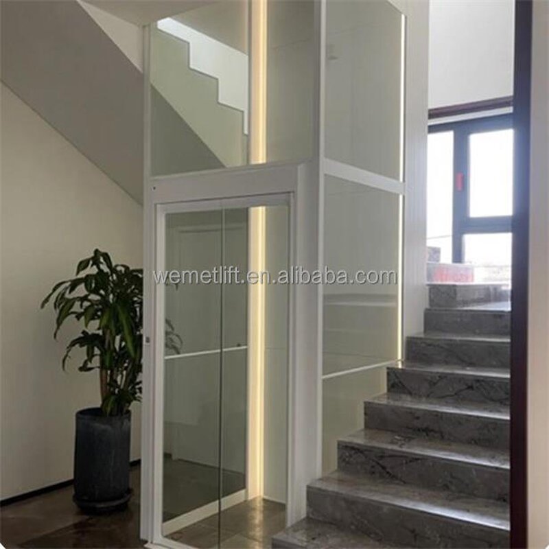 Home Elevator Manufacturer - OEM/ODM Small Mini House Lift for Elderly