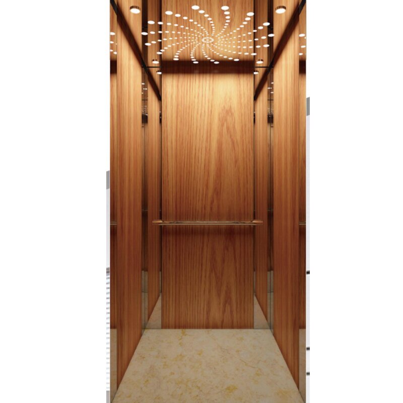 Home Elevator Manufacturer - OEM/ODM Hydraulic Residential for Disabled People