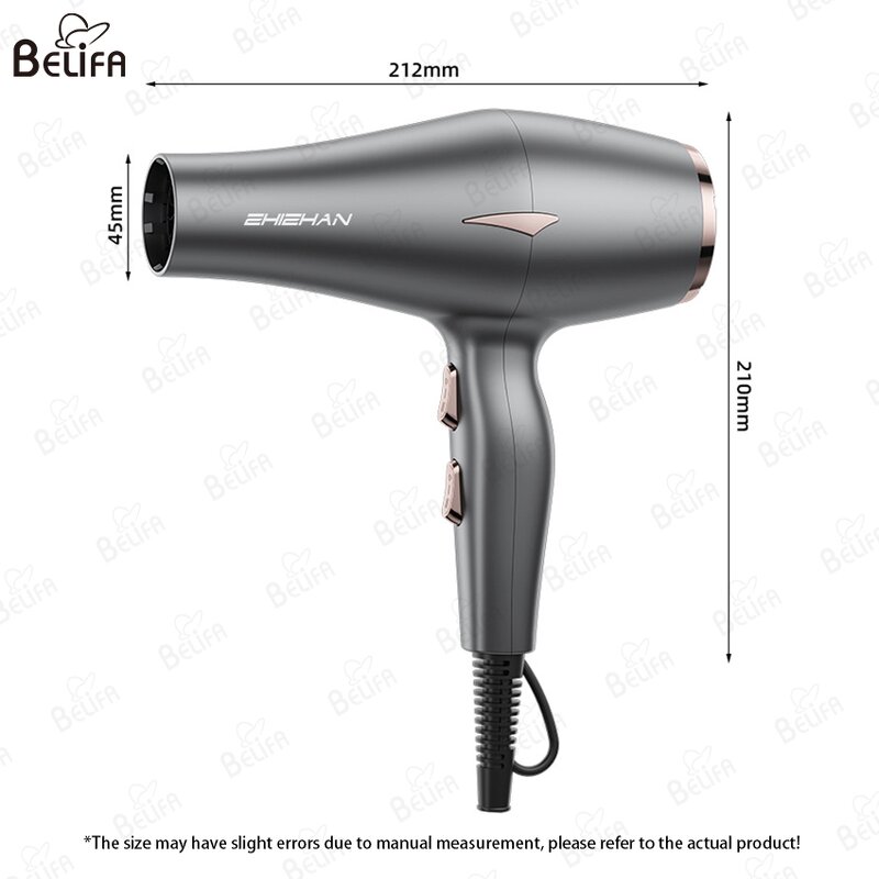 Hair Dryer Manufacturer - OEM/ODM New High Power Anion Mute Reverse Function
