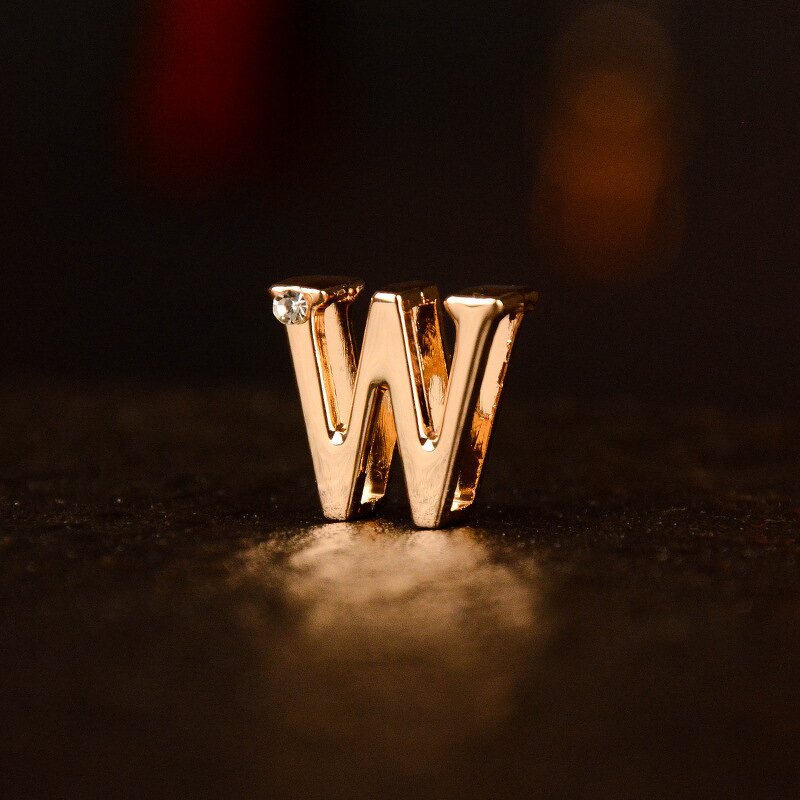 Dog Collar Factory - OEM Rose Gold Steel Collar