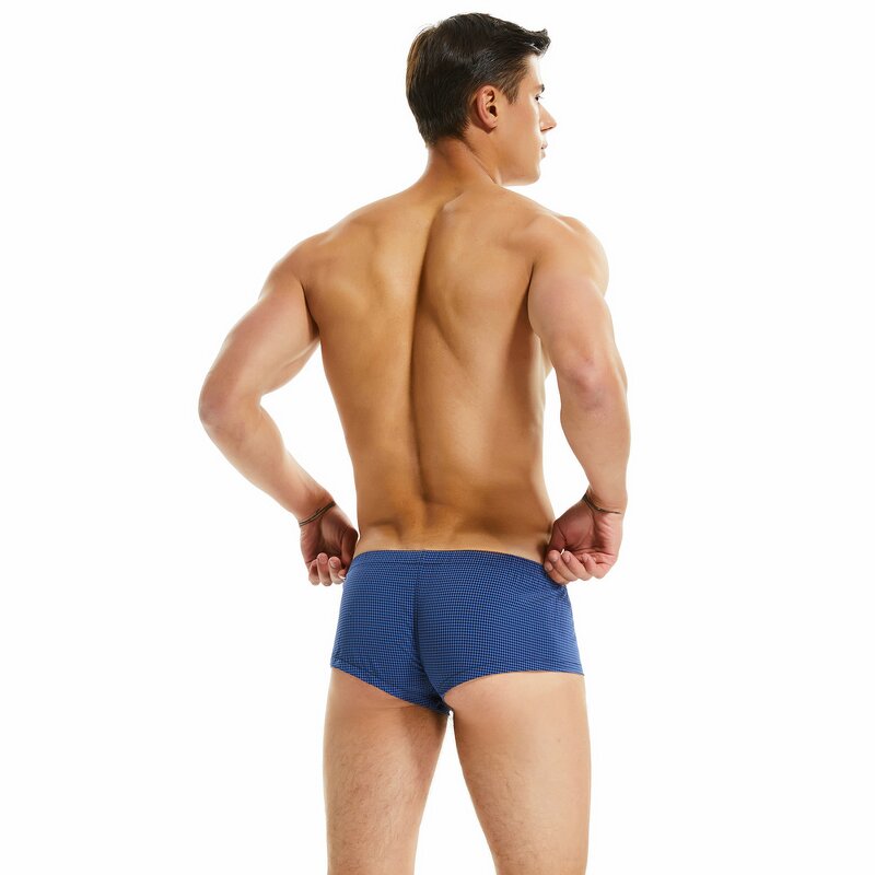 Men's Boxers Manufacturer - OEM/ODM Summer Sporty Mesh Transparent Quick