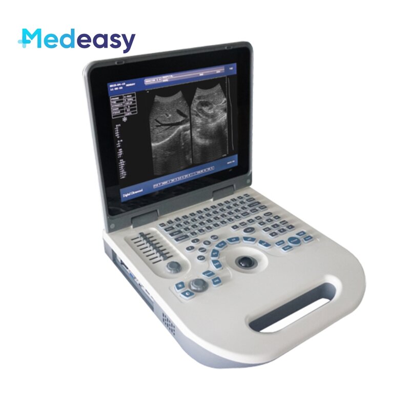 Portable Ultrasound Supplier - Full Digital LED Health Treatment Expert