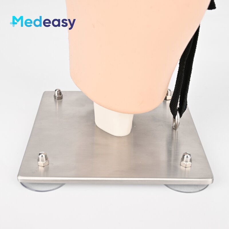 Simulated Arthroscopic Simulator Manufacturer - Knee Joint Model for Training
