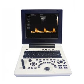 Laptop Ultrasound Scanner Factory - New B/W Device Portable with PW/ IMT