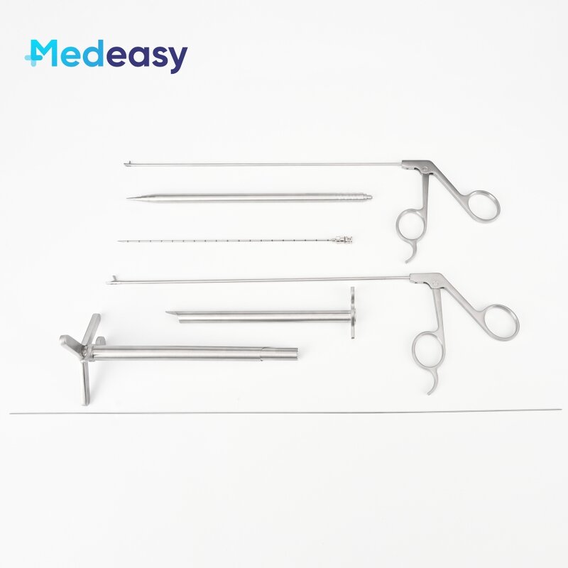 Intervertebral Foramen Simulator Factory - Lumbar Spine Model UBE Training