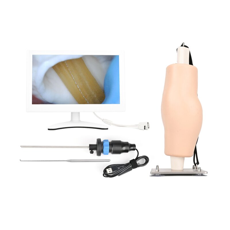 Simulated Arthroscopic Simulator Manufacturer - Knee Joint Model for Training