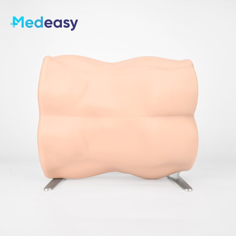 Intervertebral Foramen Simulator Factory - Lumbar Spine Model UBE Training