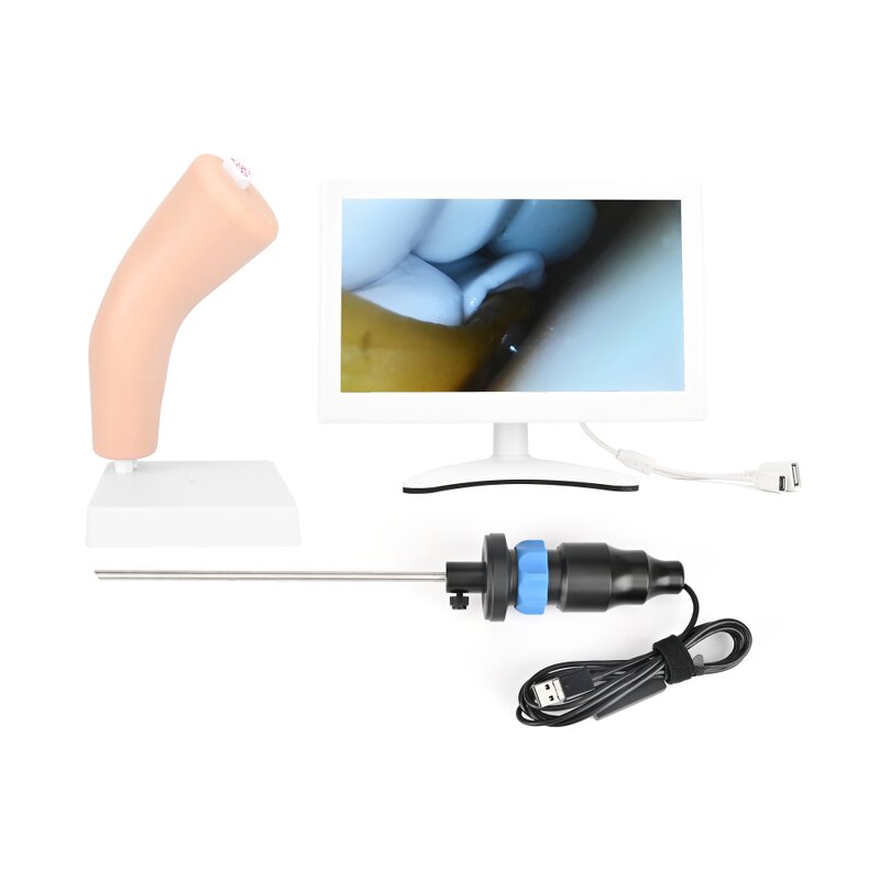 Arthroscopy Simulator Elbow Joint Manufacturer - High Simulation for Surgery Training