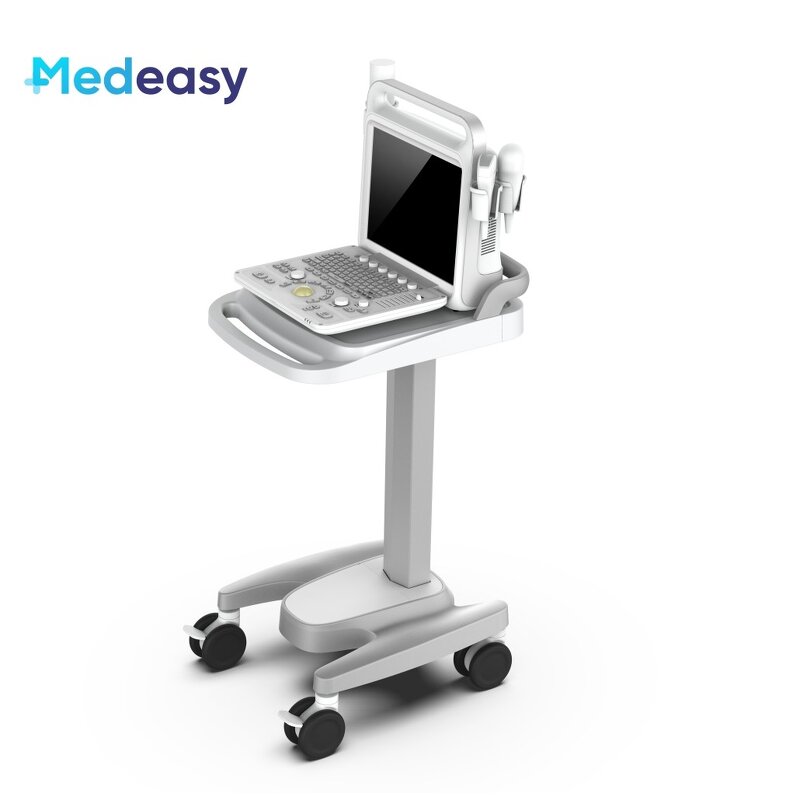 Portable Ultrasound Scanner Manufacturer - Full Digital Color Doppler System