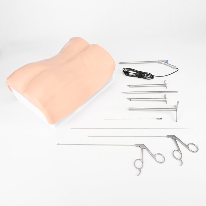 Intervertebral Foramen Simulator Factory - Lumbar Spine Model UBE Training