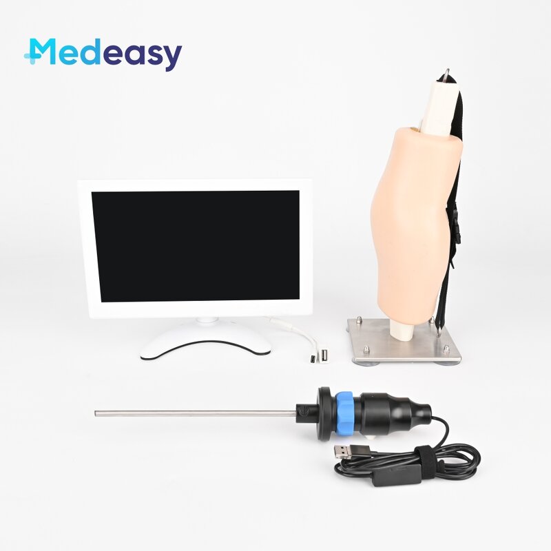 Simulated Arthroscopic Simulator Manufacturer - Knee Joint Model for Training