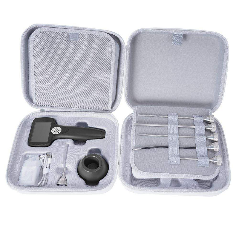 Portable Ent Endoscope Video Otoscope Manufacturer - Digital Visual Ear Camera