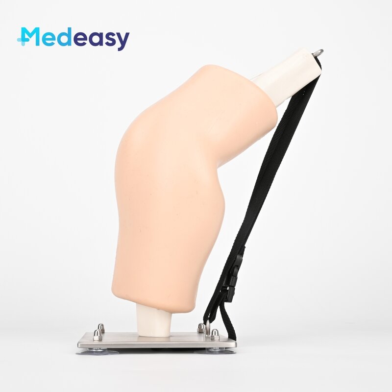 Simulated Arthroscopic Simulator Manufacturer - Knee Joint Model for Training