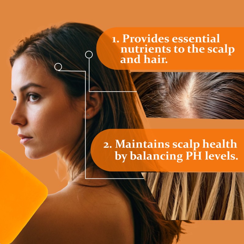 Eco Friendly Custom Natural Ingredient Controls Oil Citrus Shampoo Solid bar for Hair