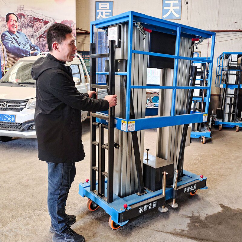 Double-column Vertical Lift Factory - 4M-14M Hydraulic Aluminum Alloy Platform