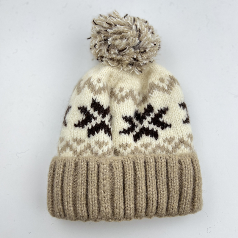 Knitted Hat Manufacturer - OEM/ODM Fashionable Color Matching Warm Jacquard
