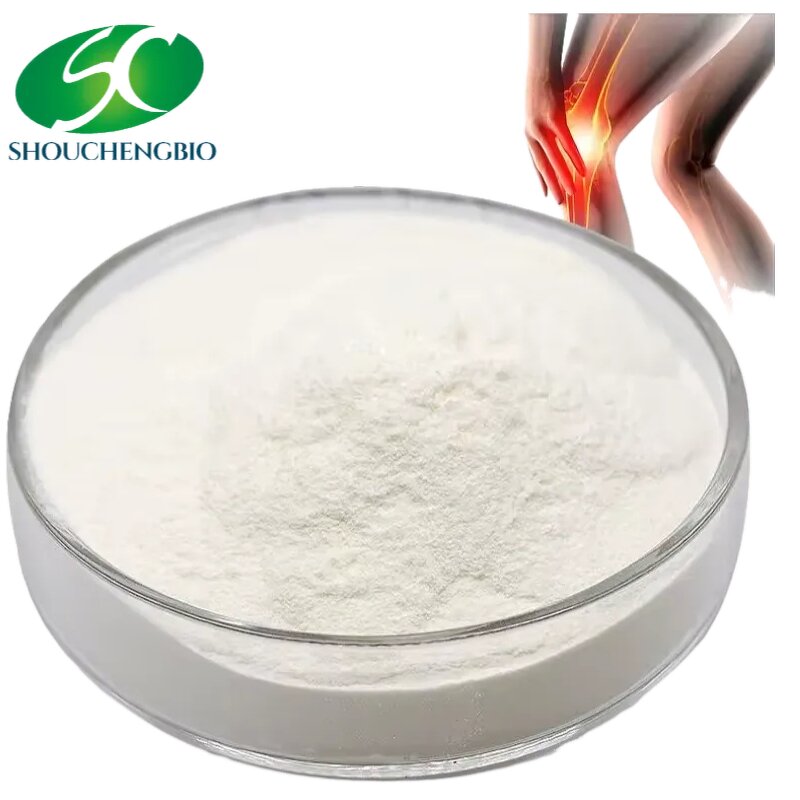 Chondroitin Sulfate Sodium Powder Manufacturer - OEM/ODM Bulk Bovine Chicken
