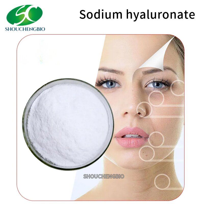 Hyaluronic Acid Powder Manufacturer - OEM/ODM Cosmetics Raw Material 9004-61-9