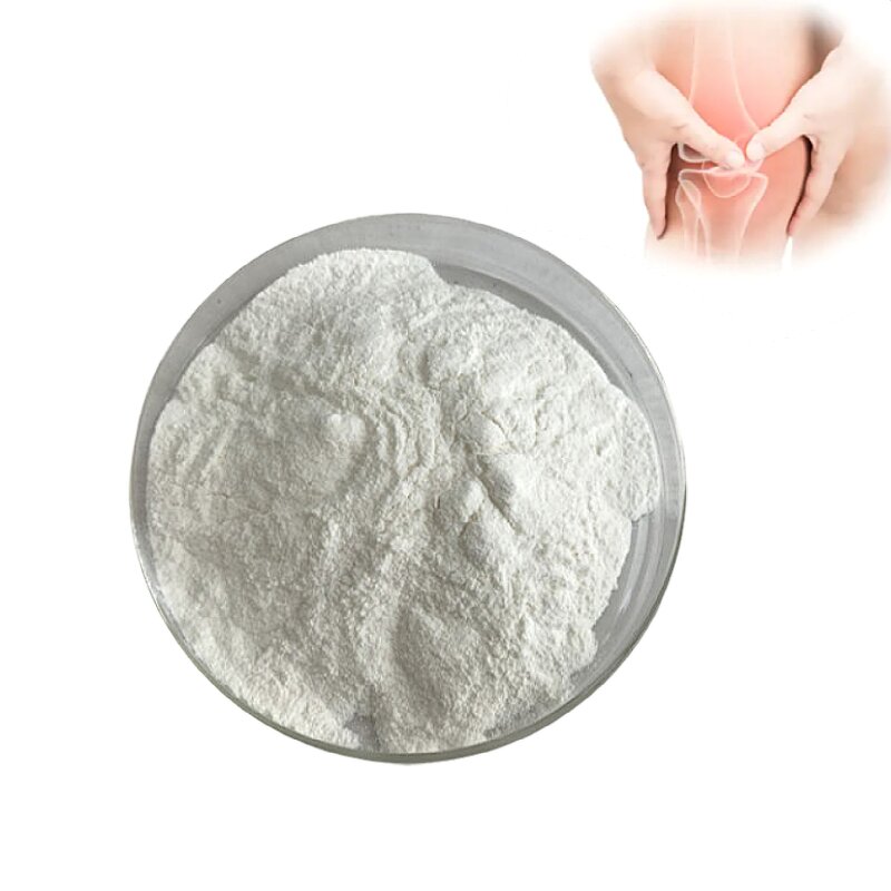 Chondroitin Sulfate Powder Manufacturer - OEM/ODM Bulk 90% Chondroitin