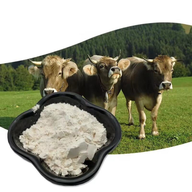 Bovine Collagen Peptide Manufacturer - OEM/ODM High Quality Hydrolyzed Beef