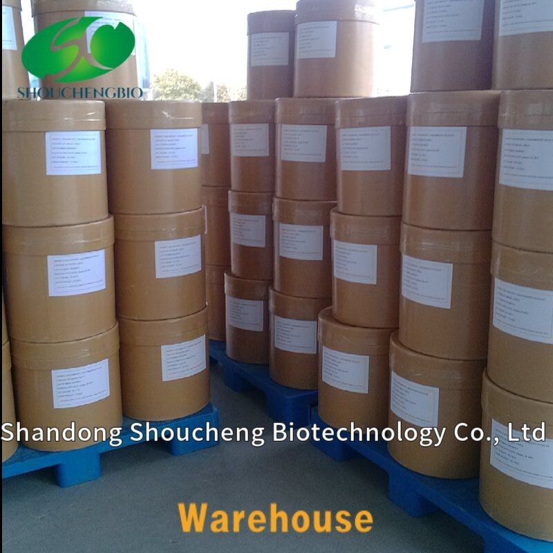 Stevia Extract Powder Manufacturer - Wholesale 90% Stevioside Bulk 1 kg