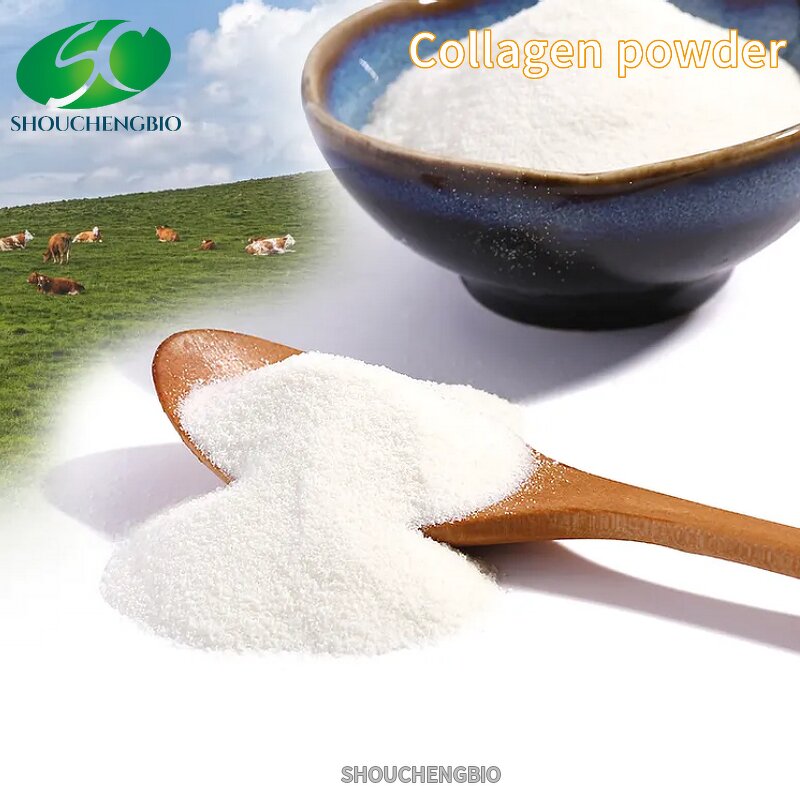 Hydrolyzed Collagen Powder Manufacturer - OEM/ODM Naturally Water-Soluble Protein
