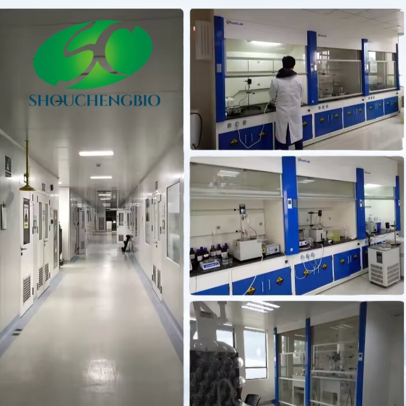 Sodium Hyaluronate Powder Manufacturer - OEM/ODM Food Grade CAS 9067-32-7