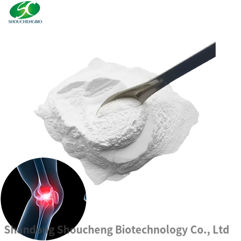 Glucosamine Powder Manufacturer - OEM/ODM USP Grade Healthcare Supplement