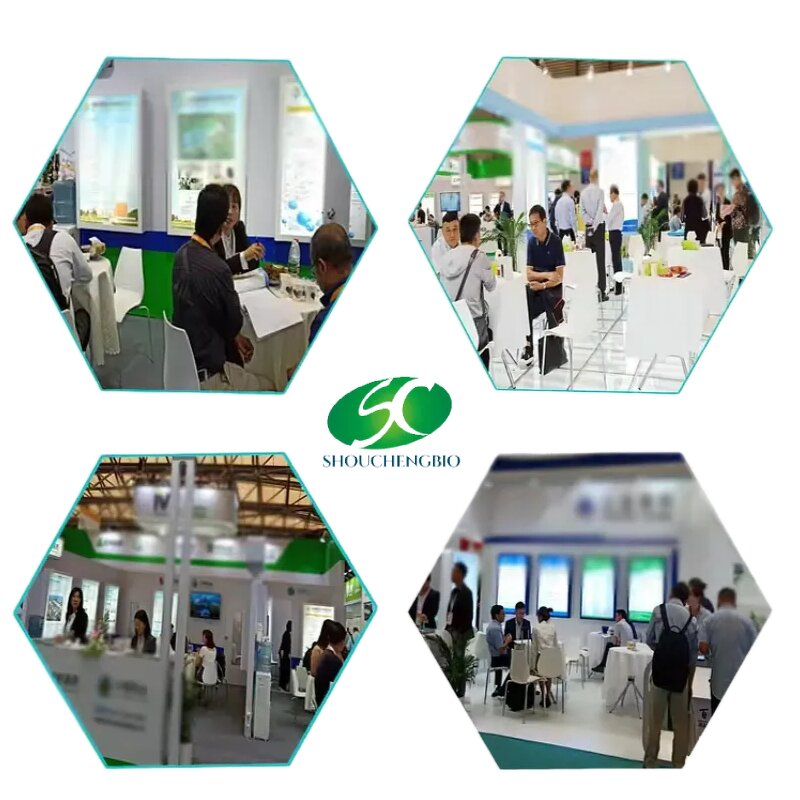 Stevia Extract Powder Manufacturer - Wholesale Bulk Steviol Glycosides RM