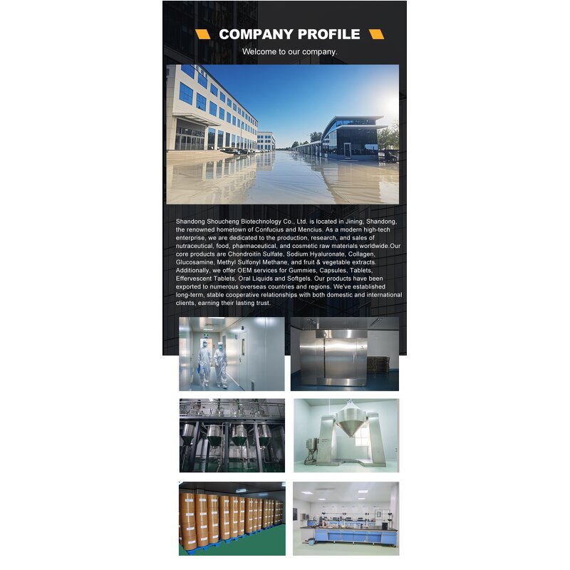 Fish Cartilage Powder Manufacturer - OEM/ODM Food Grade Chondroitin Sulphate