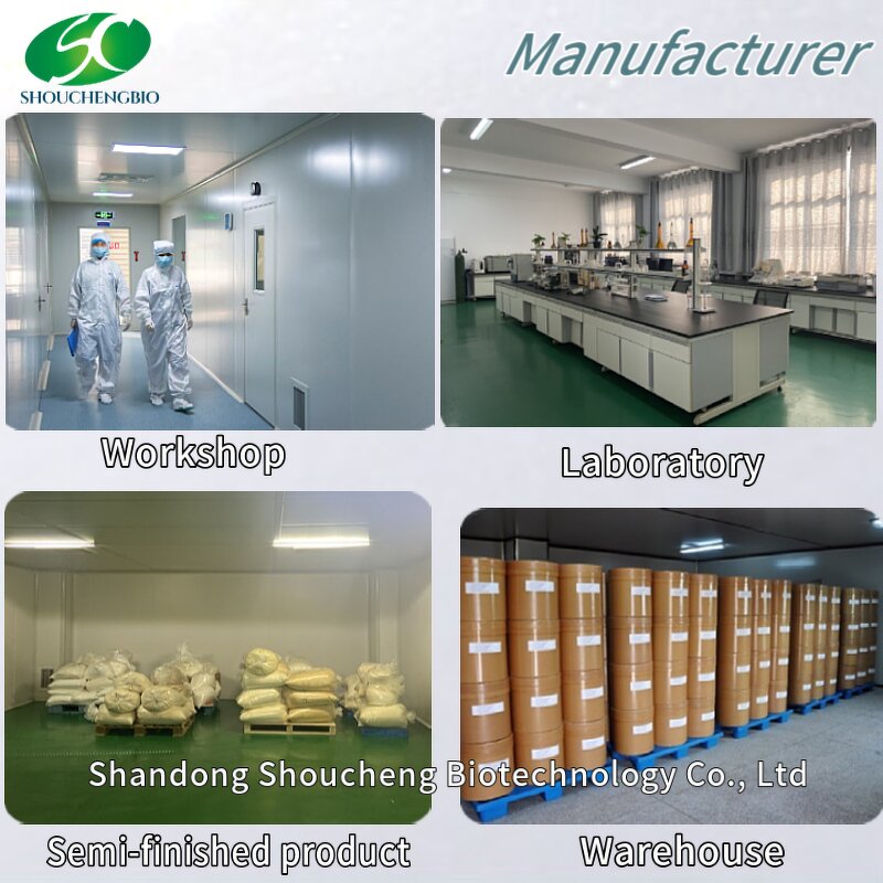 Fish Cartilage Extracts Manufacturer - OEM/ODM Bulk Marine Powder for Joints