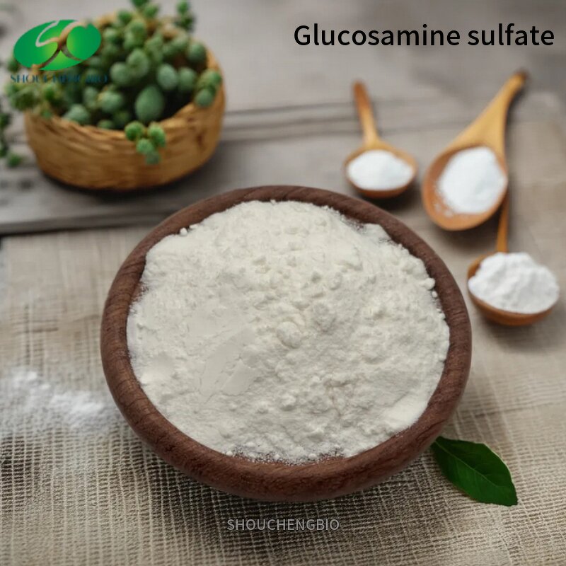 Glucosamine Hydrochloride Manufacturer - OEM/ODM USP Grade with Chondroitin