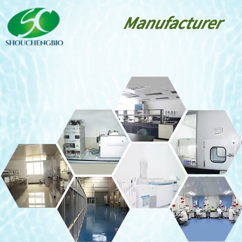 Sodium Hyaluronate Powder Manufacturer - OEM/ODM Food Grade CAS 9067-32-7