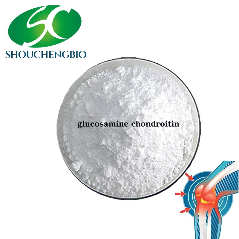 Chondroitin Sulfate Powder Manufacturer - Factory Price Bovine 90% Sodium