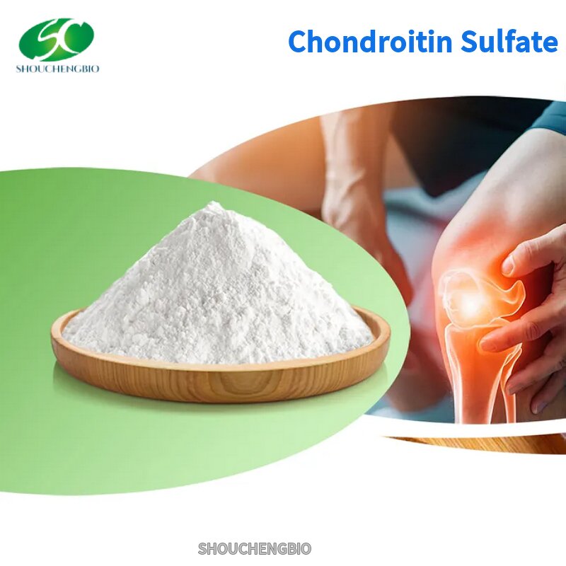 Chondroitin Sulfate Sodium Powder Manufacturer - OEM/ODM Bulk Bovine Chicken Halal