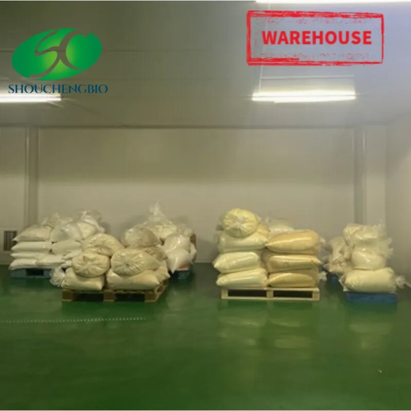 Calcium Chondroitin Sulfate Manufacturer - OEM/ODM USP 90% Cas 9007-28-7