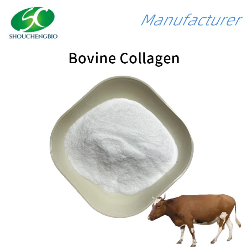 Bovine Collagen Peptide Manufacturer - OEM/ODM High Quality Hydrolyzed Beef