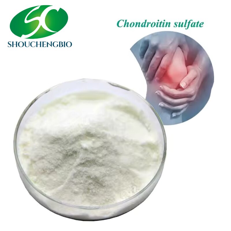 Calcium Chondroitin Sulfate Manufacturer - OEM/ODM USP 90% Cas 9007-28-7