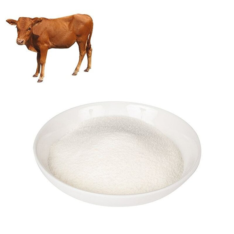 Bovine Collagen Peptide Powder Manufacturer - OEM/ODM Hot-sale Pure Animal Protein