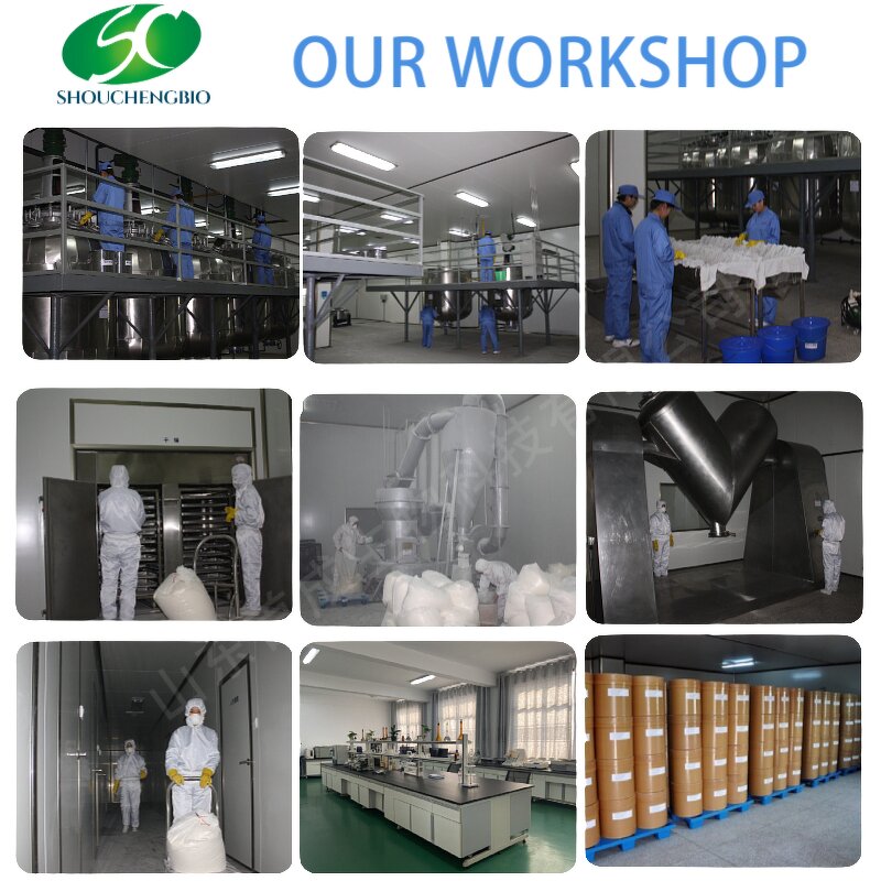 Glucosamine Supplements Manufacturer - OEM/ODM Sulfate 2kcl 99% with Chondroitin