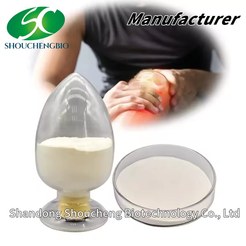 Chondroitin Sulfate Sodium Powder Manufacturer - OEM/ODM High-Quality Chicken