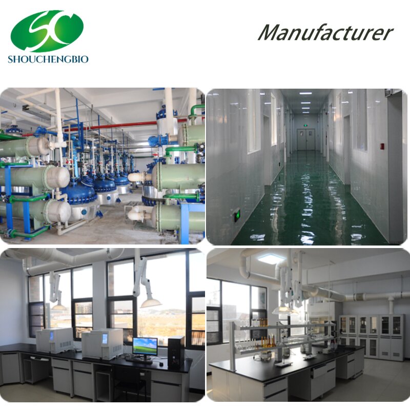 Glucosamine Hydrochloride Manufacturer - OEM/ODM USP40 CAS 66-84-2 Raw