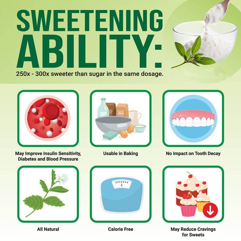 Stevia Extract Powder Manufacturer - Wholesale 90% Stevioside Bulk 1 kg