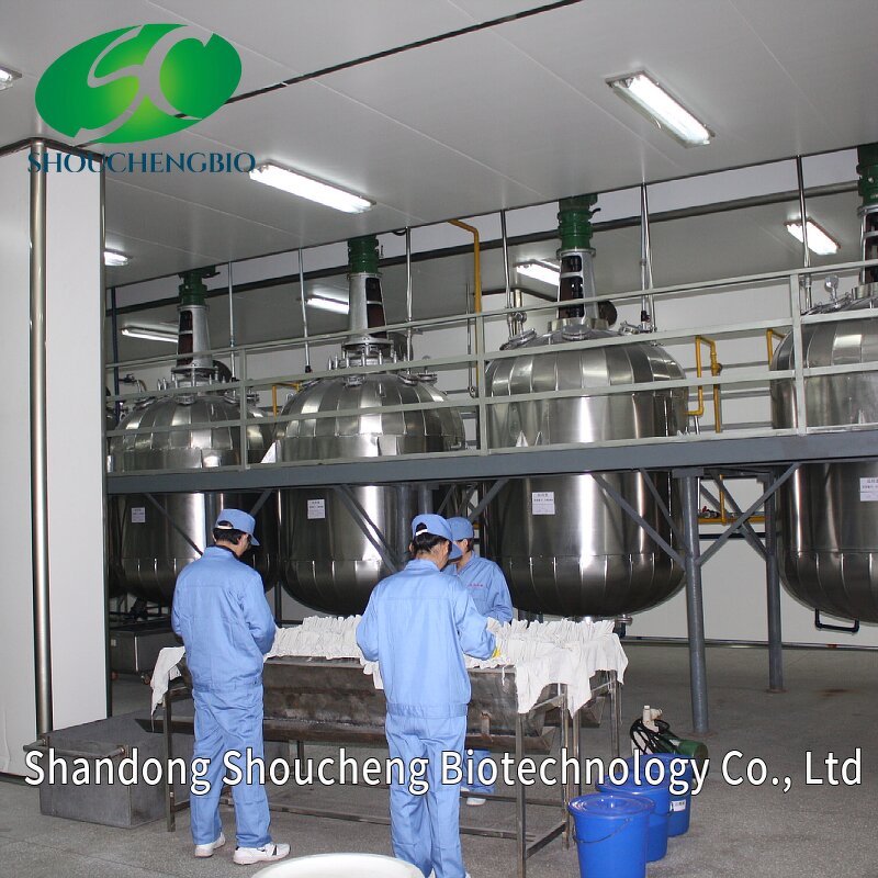 Sodium Chondroitin Sulfate Manufacturer - OEM/ODM 90%/95% Food Grade CAS