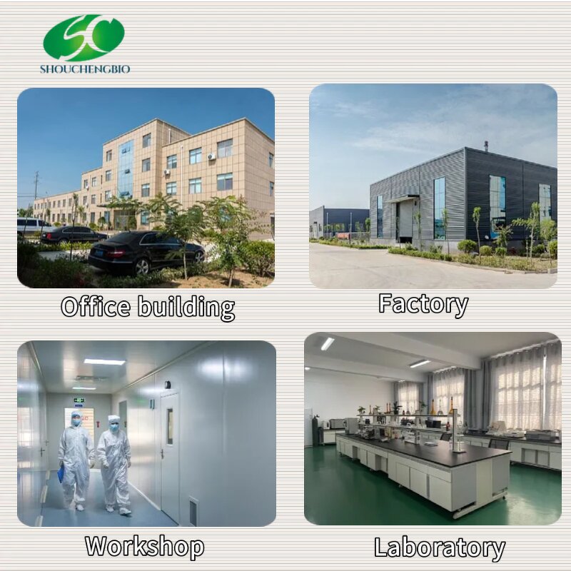 Stevia Extract Manufacturer - Wholesale Bulk High Quality Stevioside RM