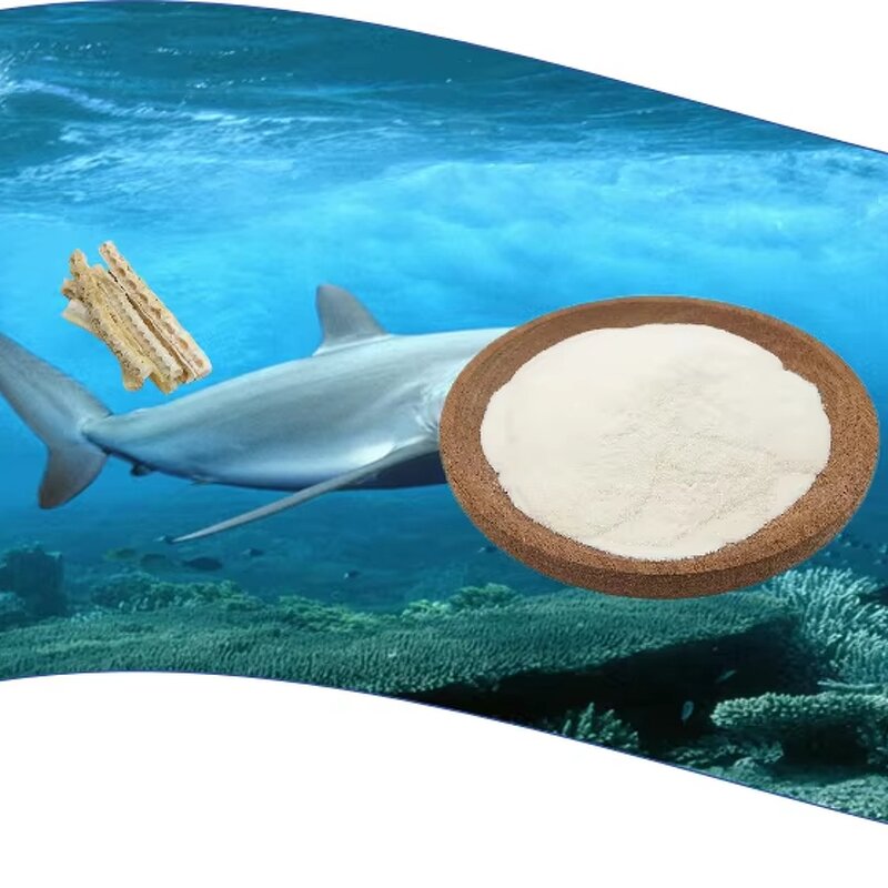 Cartilage Powder Manufacturer - OEM/ODM Fish-sourced Chondroitin Sulphate