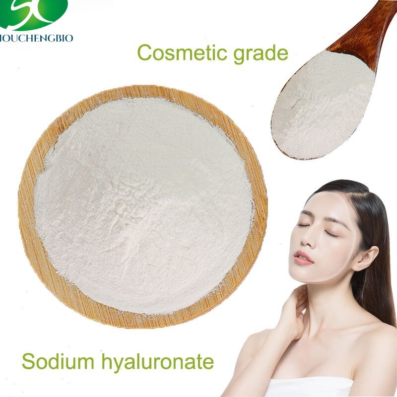 Hyaluronic Acid Powder Manufacturer - OEM/ODM Cosmetics Raw Material 9004-61-9